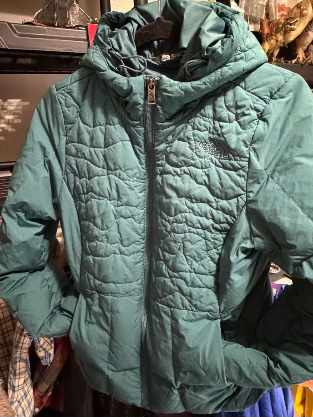 The North Face Teal Quilted Hooded Puffer Jacket - Kids
